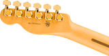 75th Anniversary American Professional Custom Telecaster® Maple Fingerboard 2-Color Sunburst
