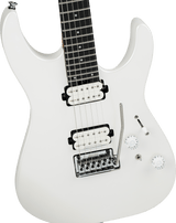Pro-Mod Plus DK24 HH 2PT EB Ebony Fingerboard - Celestial Silk