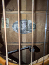 2HD MATON EBG808TE ACOUSTIC W/CASE