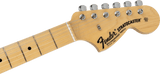 Fender MIJ Limited Stratocaster Maple Fingerboard Black Paisley