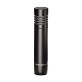 AT2031 CARDIOID CONDENSER MIC