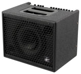 UDO ROESNER DA CAPO 75W ACOUSTIC GTR AMP