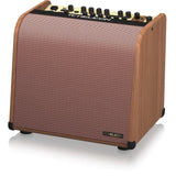 HARMONY V60 ACOUSTIC AMP