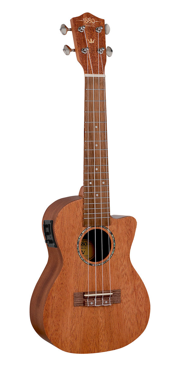 1880 100 SERIES CONCERT ELECTRIC ACOUSTIC