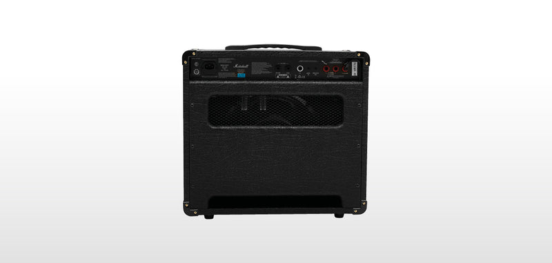 DSL20C 20W 1 X 12 VALVE COMBO